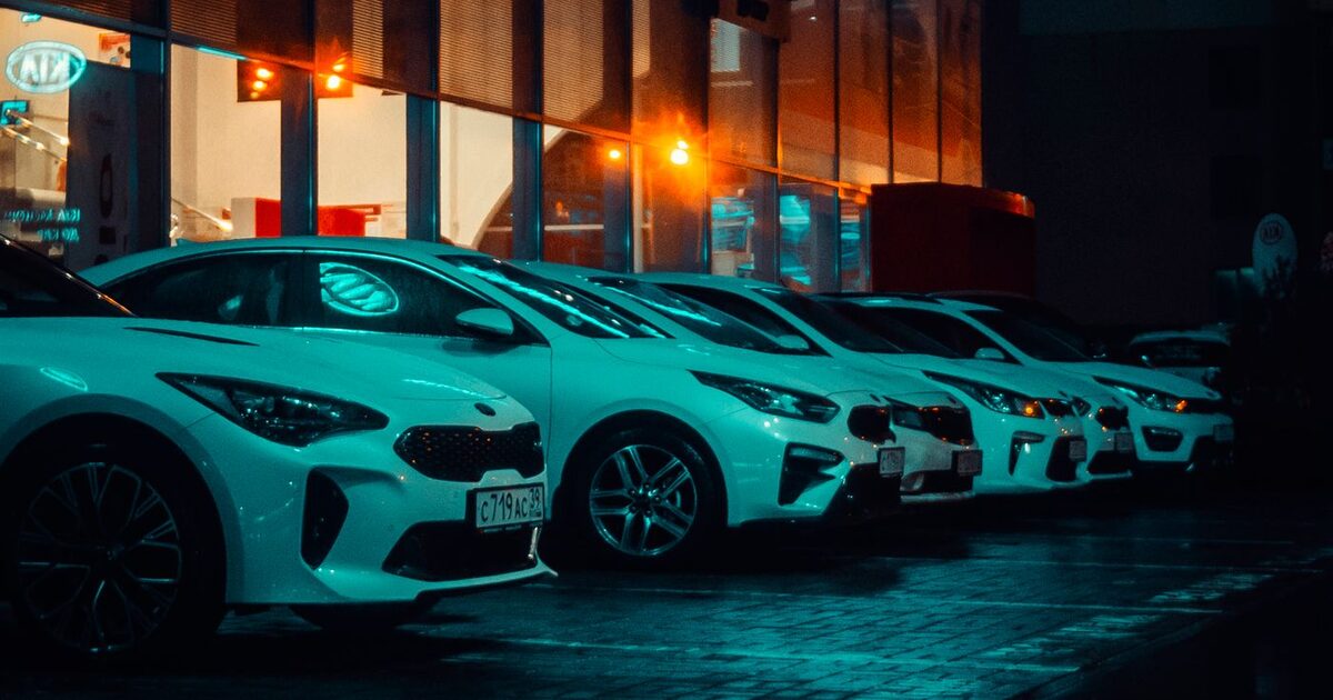 Samsun Galeri Sosyal Medya Yönetimi