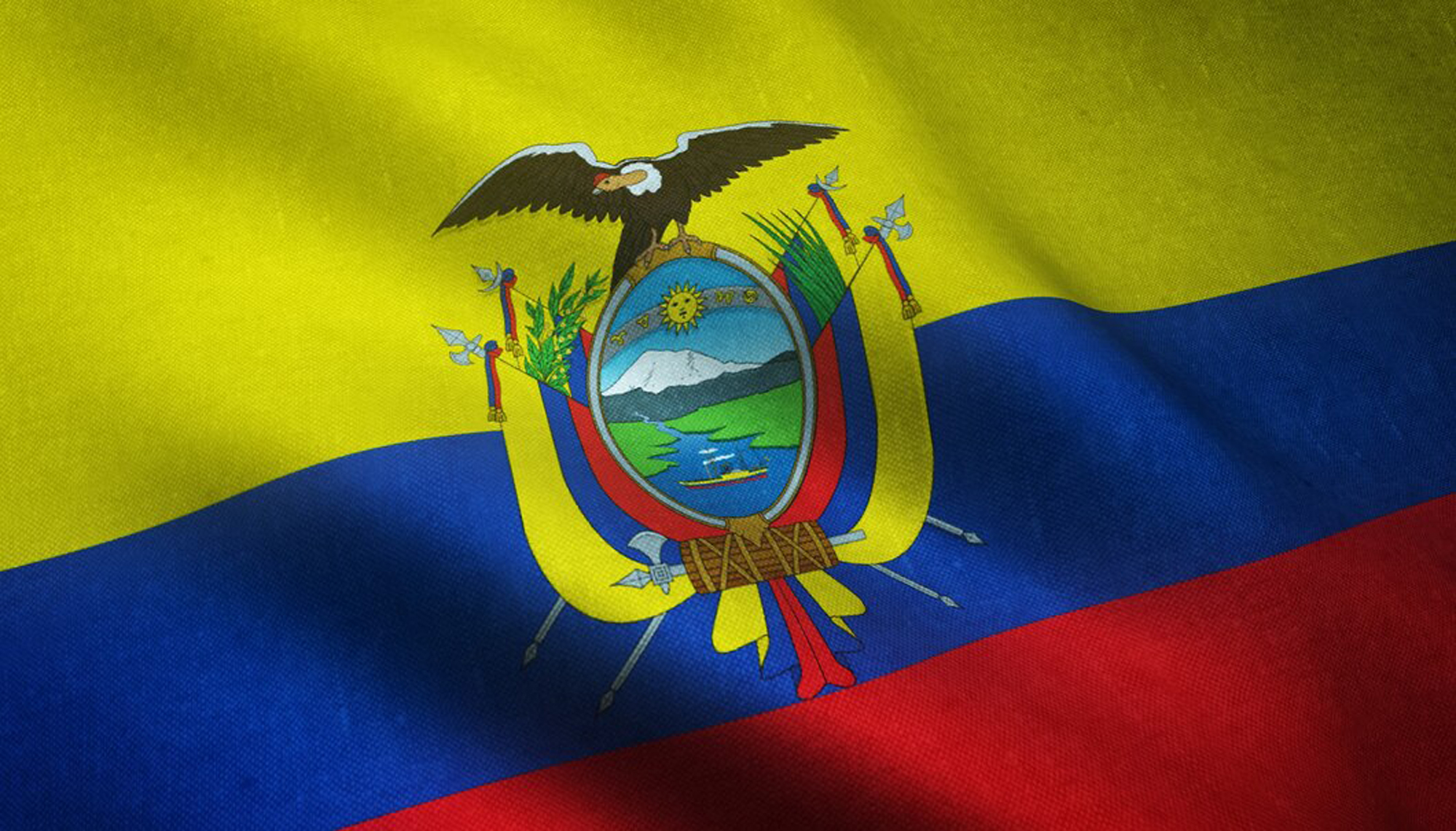 Web Design in Ecuador