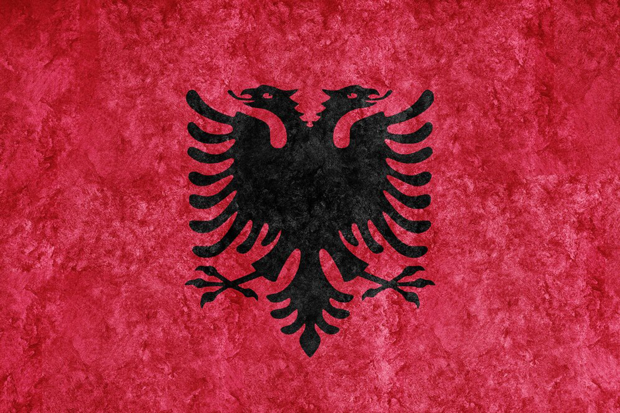 Web Design Agency in Albania