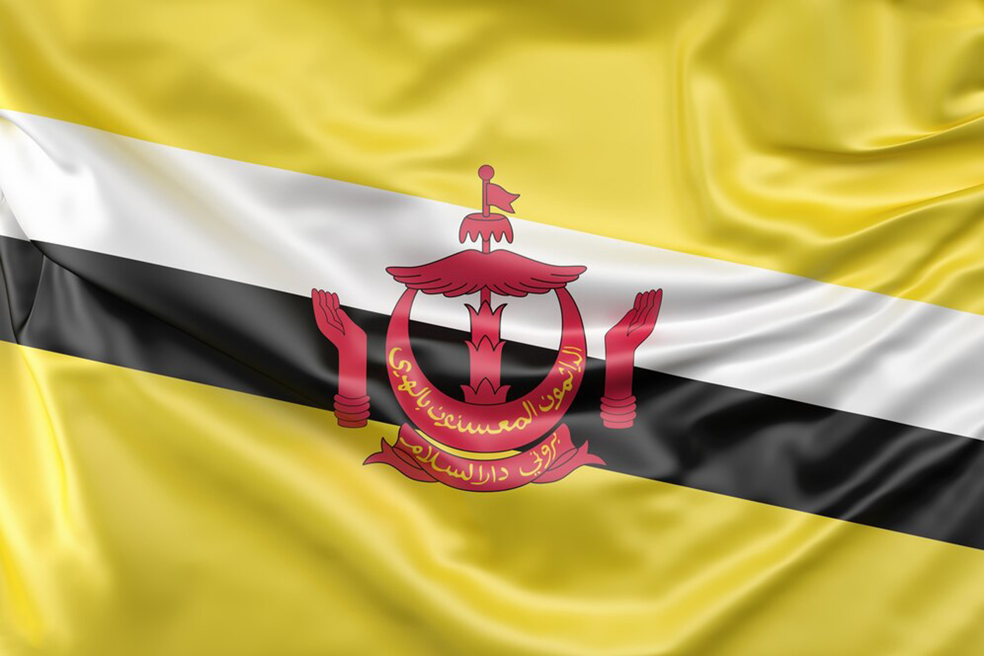 Web Design Services in Brunei