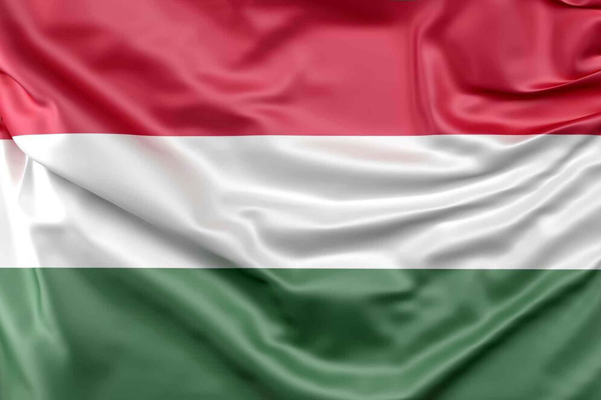 Web Design Agency in Hungary