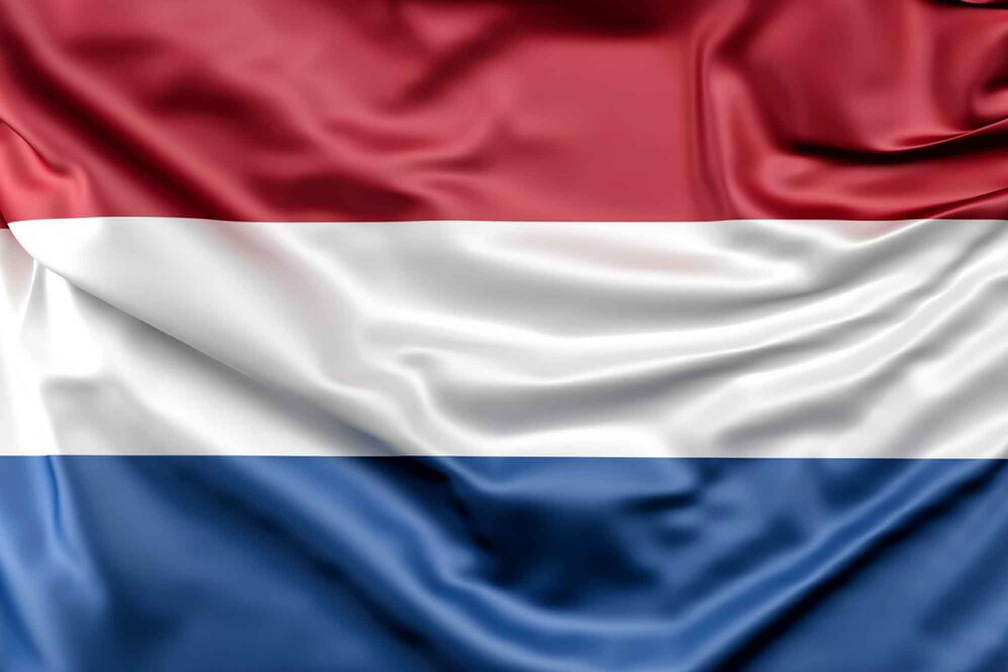 Netherlands Web Design Companies and Agencies