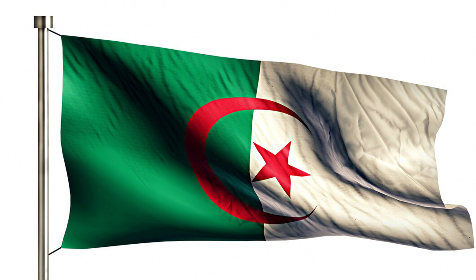 Web Design Services in Algeria
