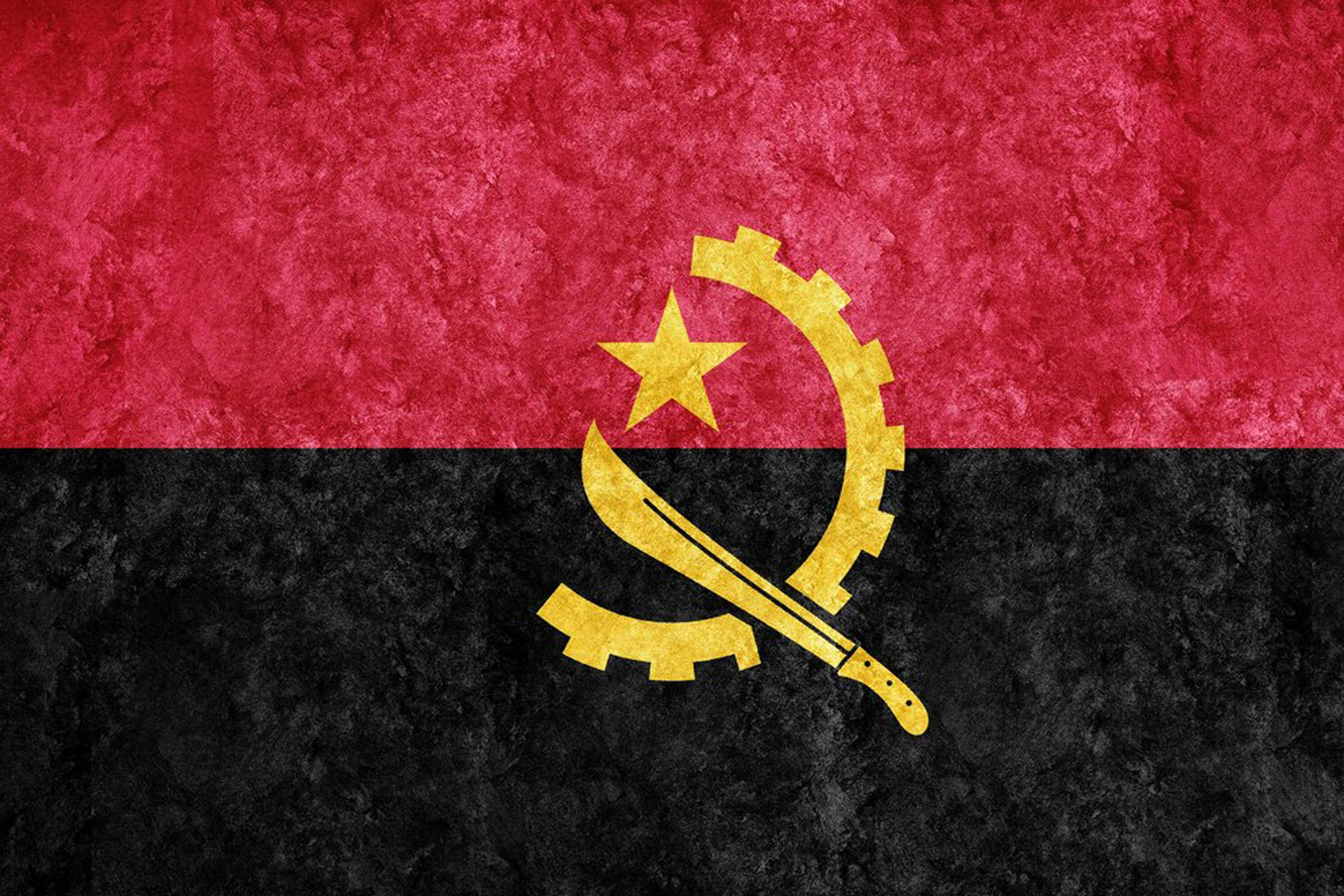 Web Design Services in Angola