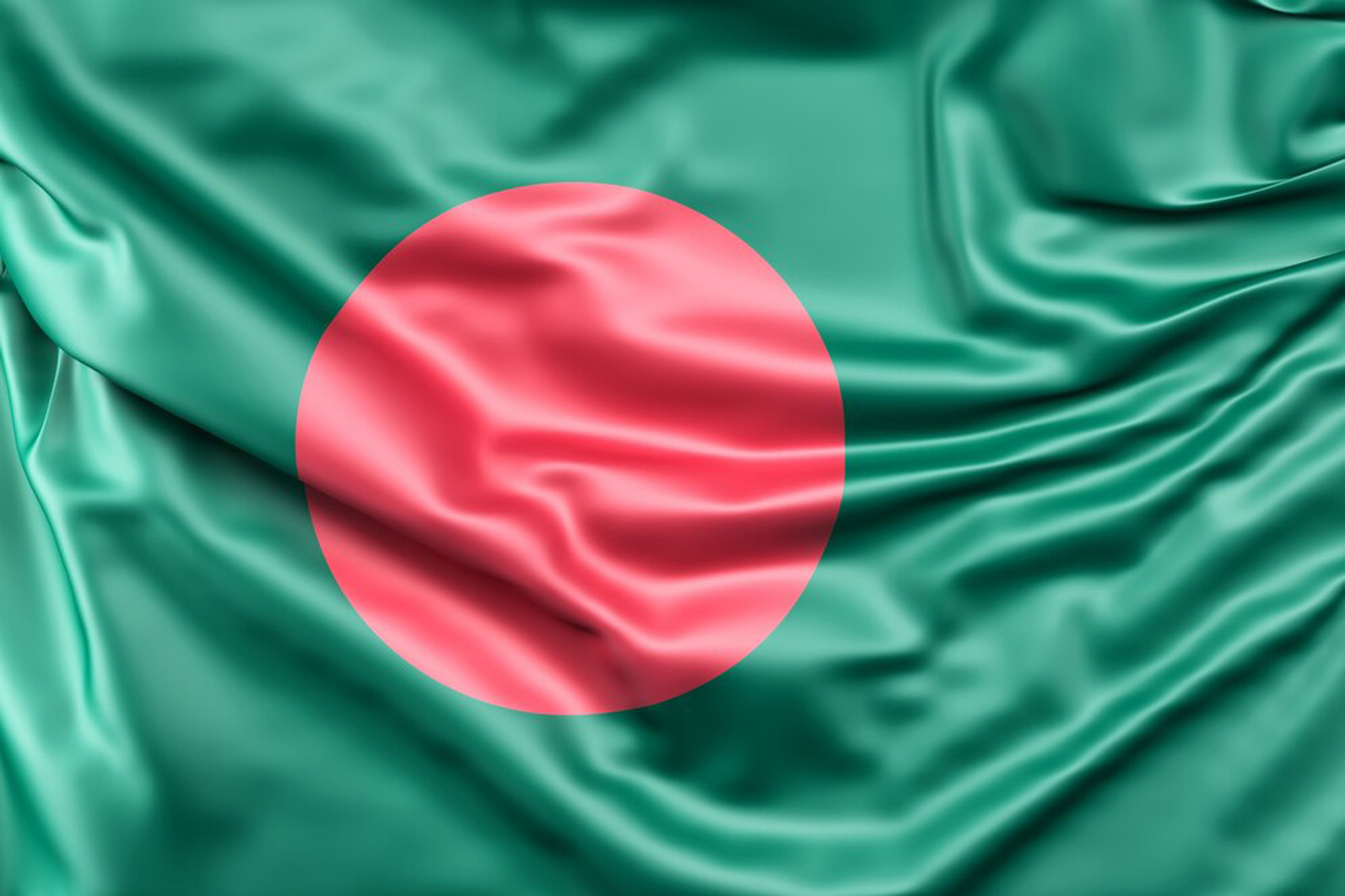 Web Design Services in Bangladesh