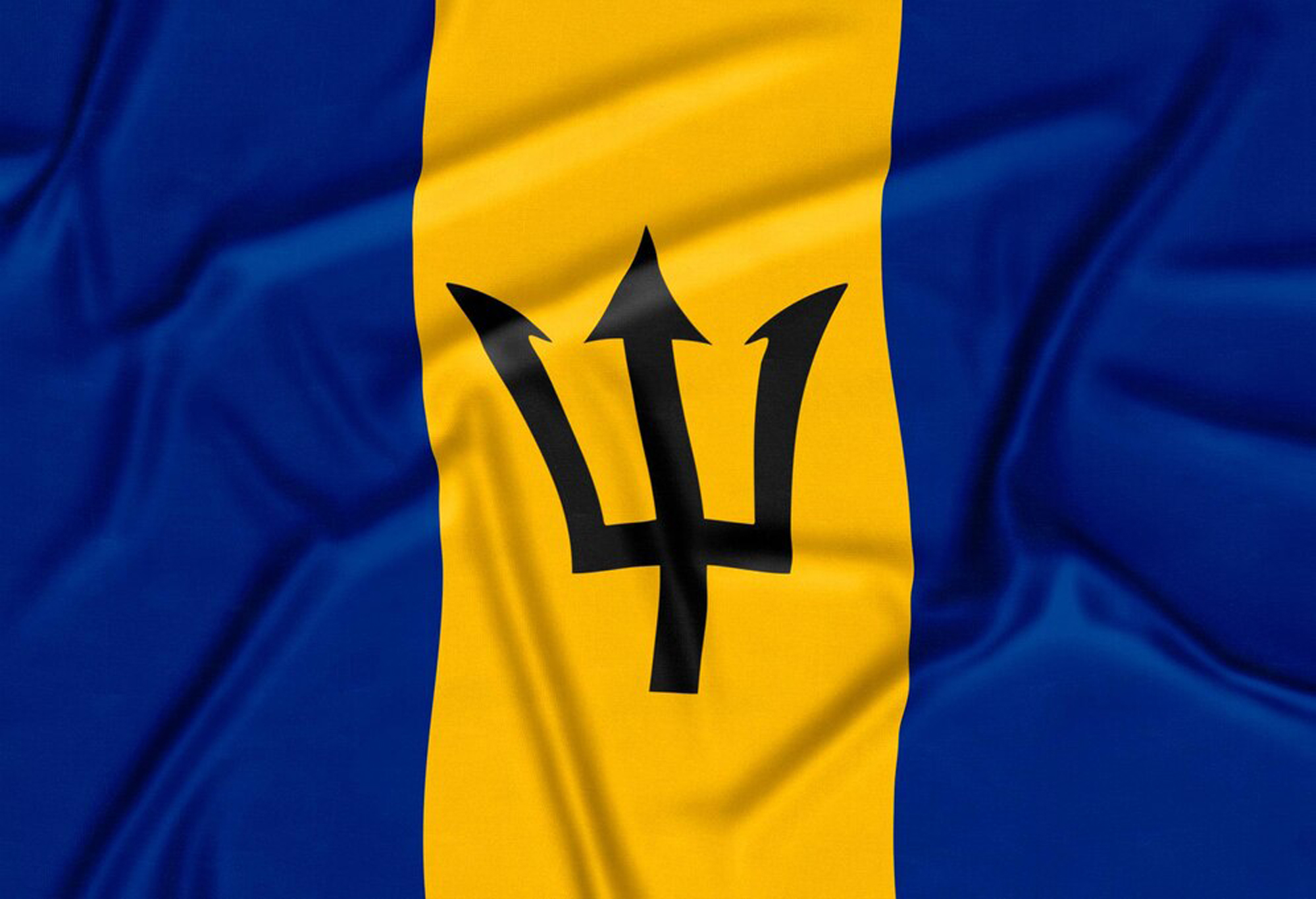 Web Design Services in Barbados