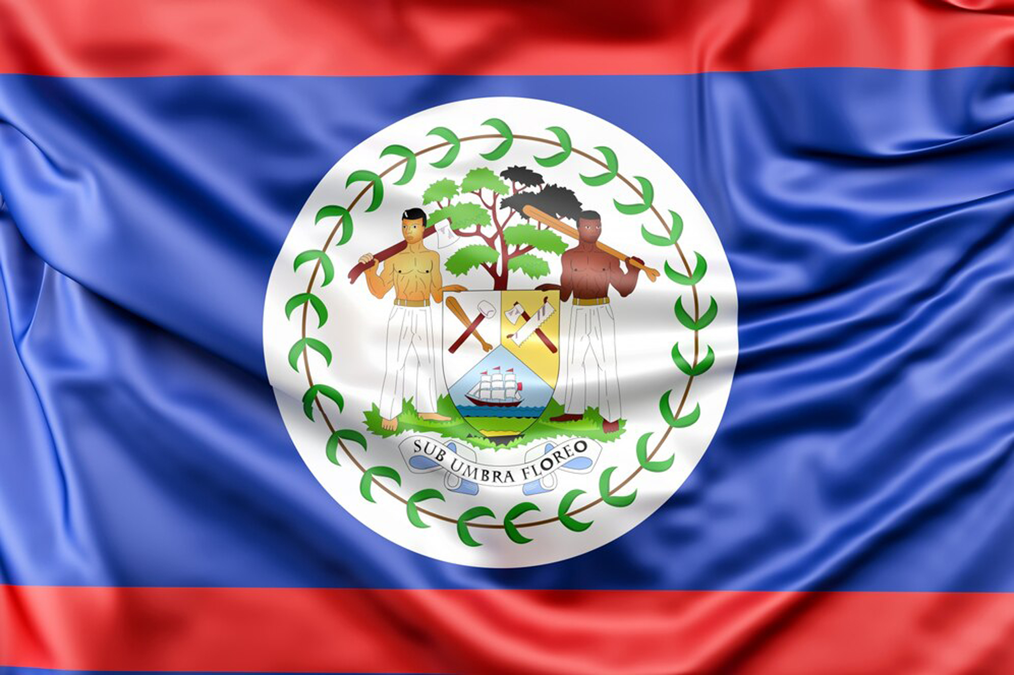 Web Design Services in Belize