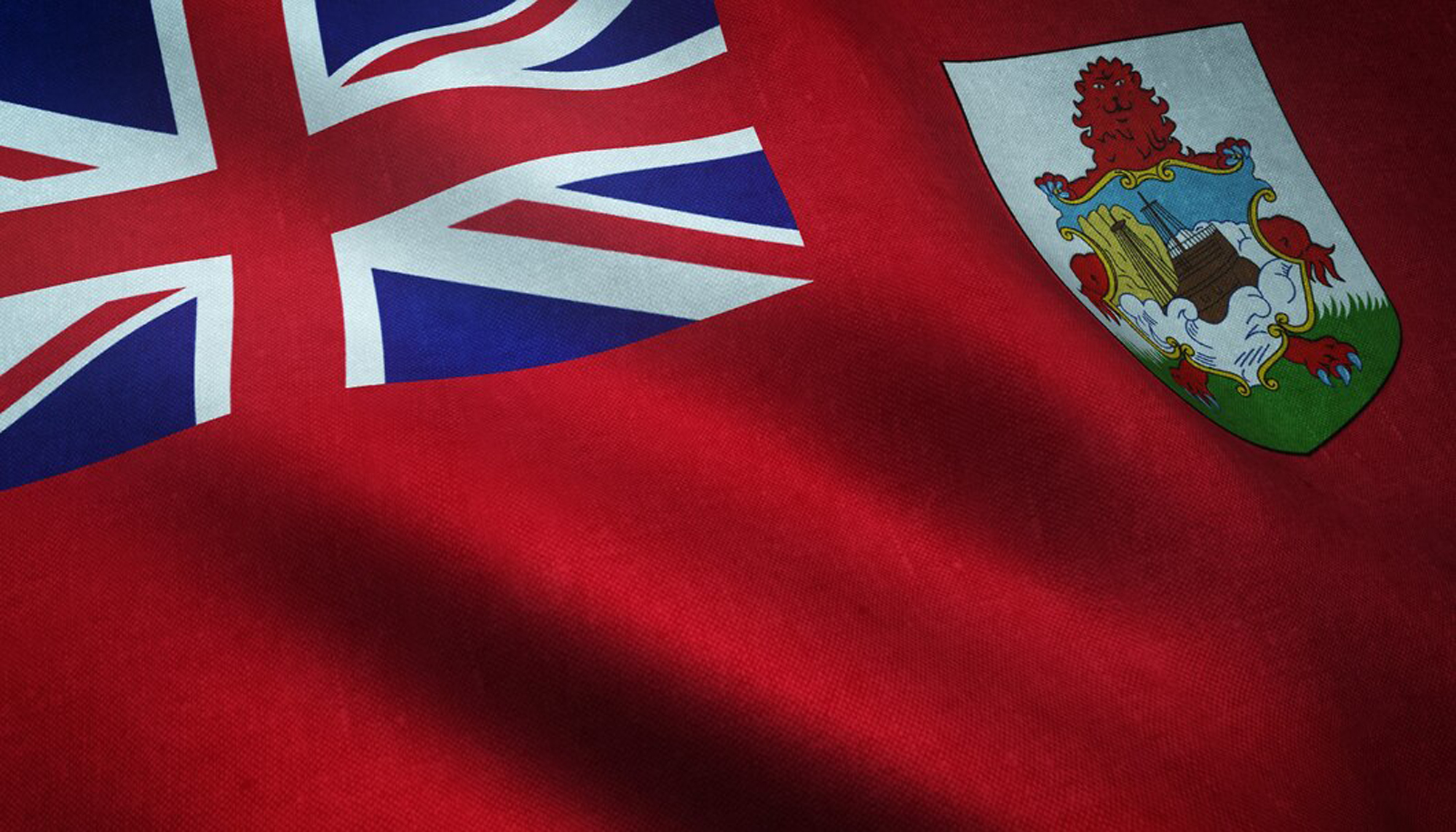 Web Design Services in Bermuda