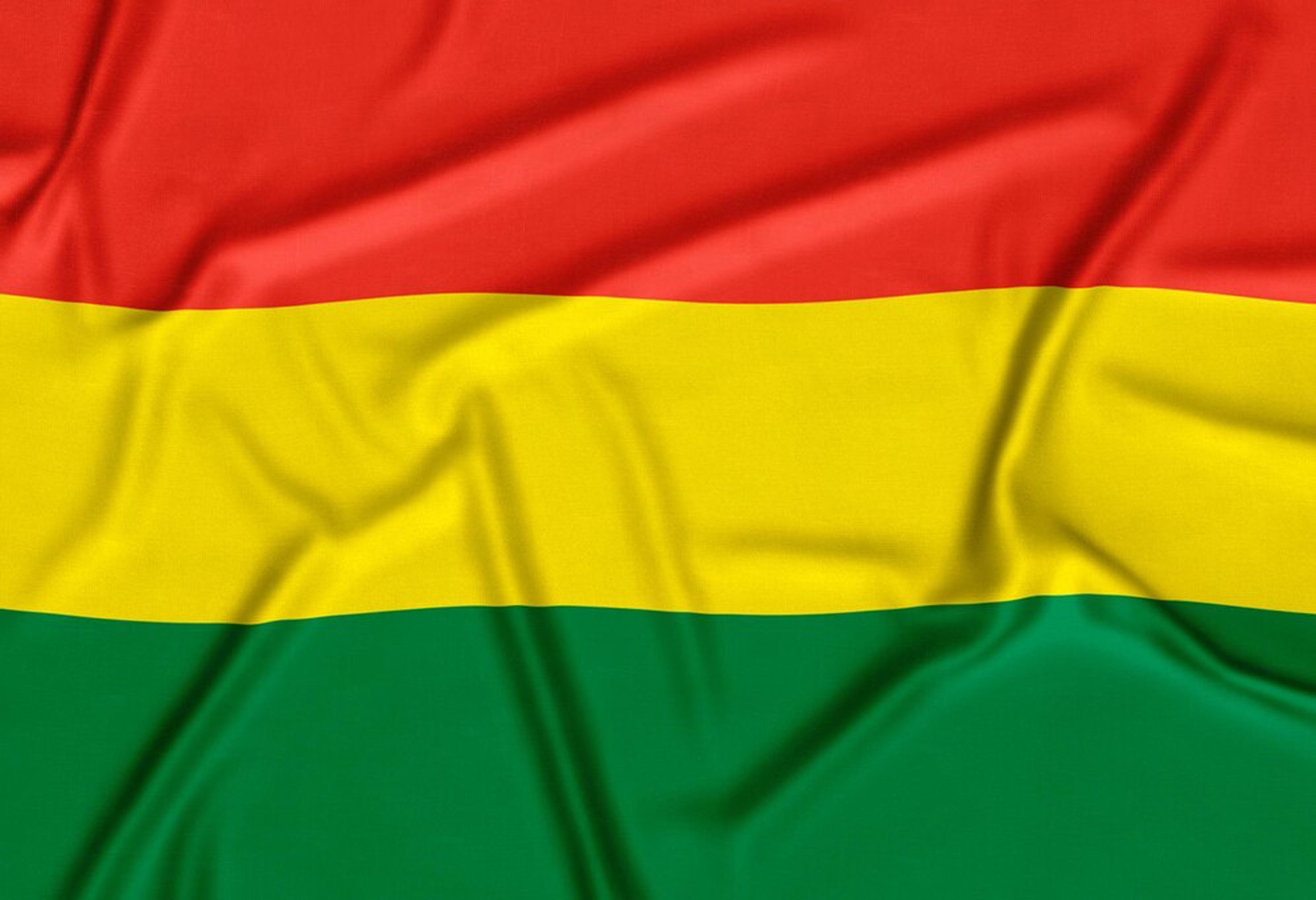 Web Design Services in Bolivia