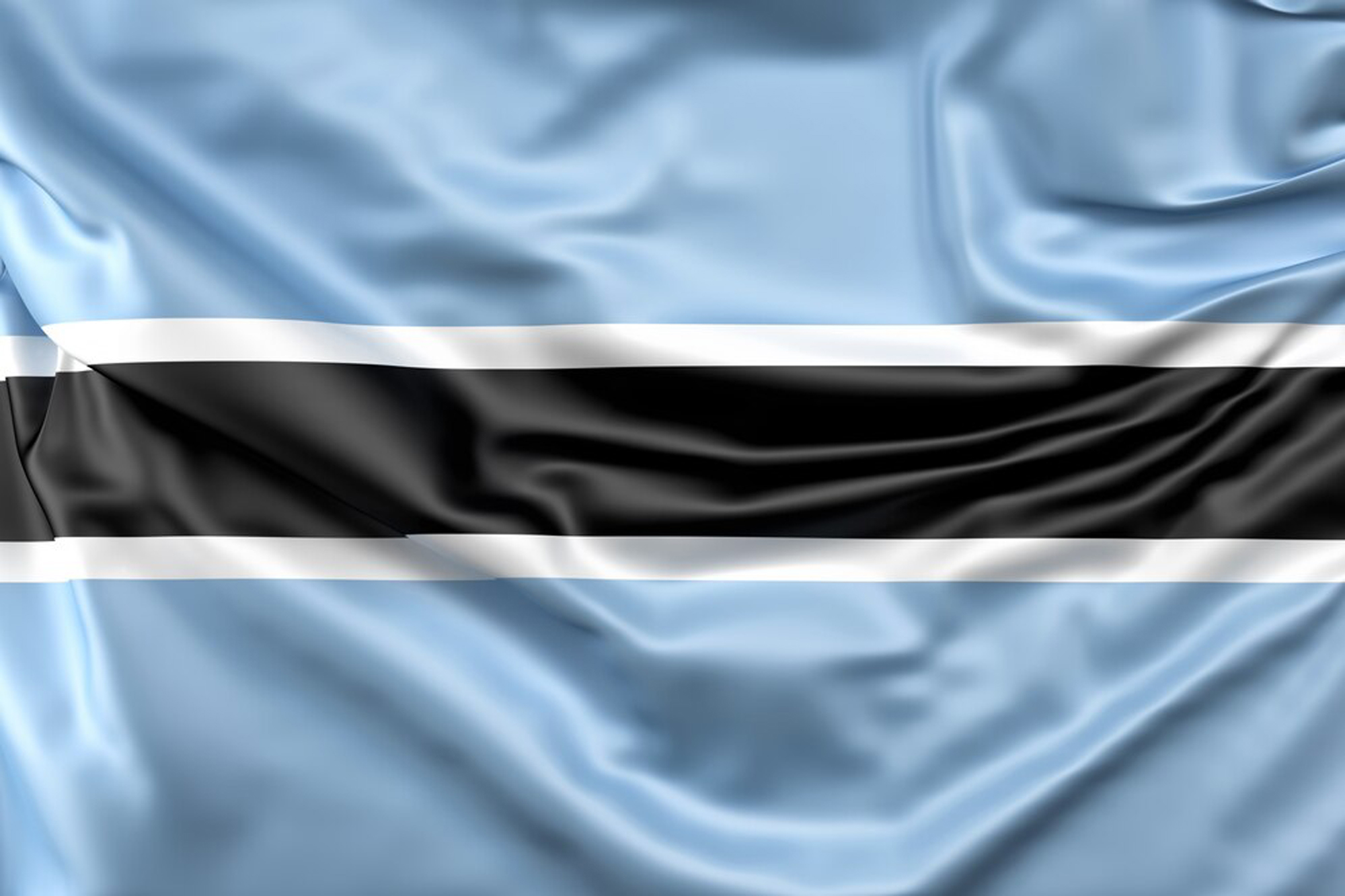 Web Design Services in Botswana