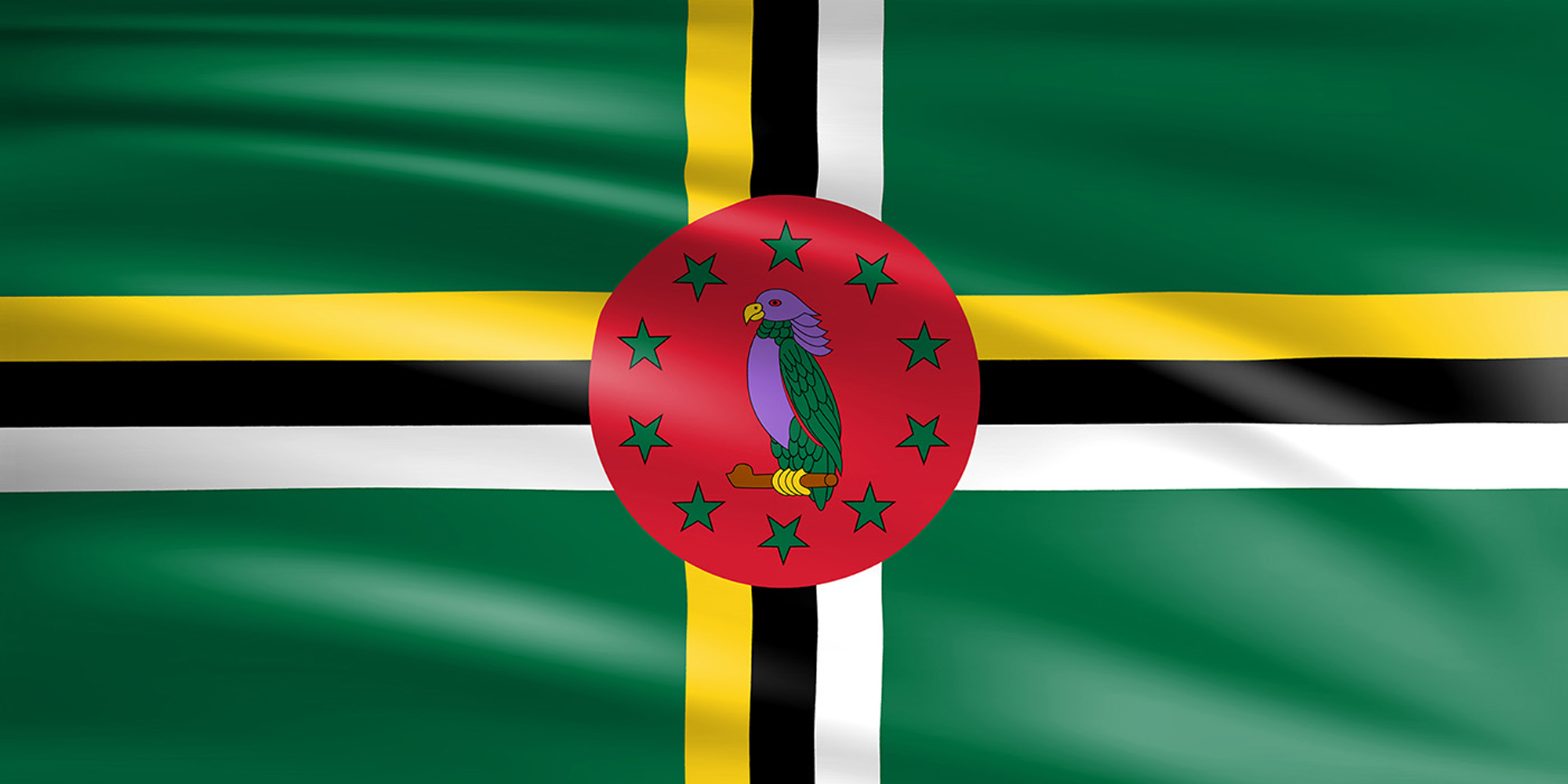 Web Design Services in Dominica