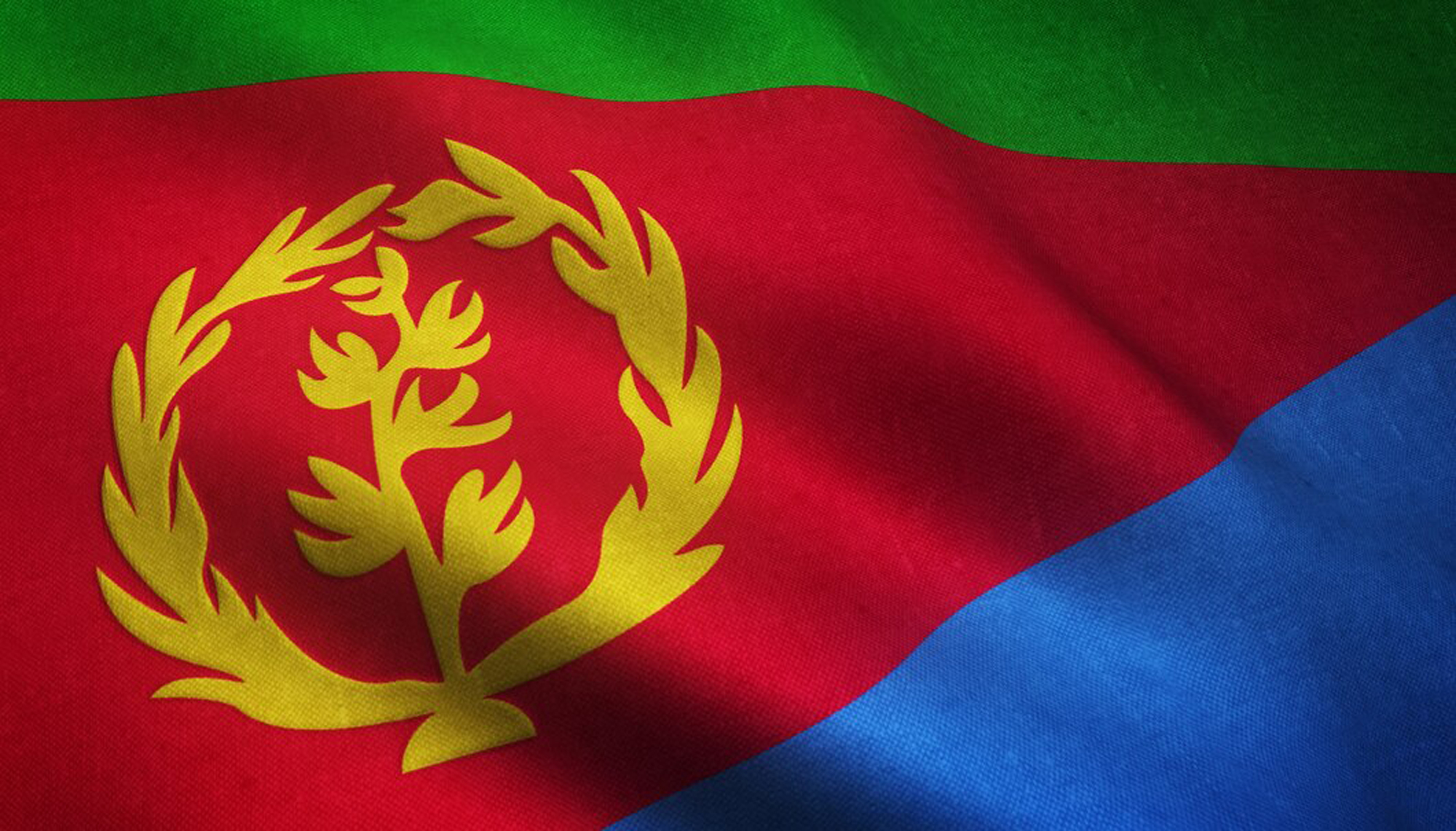 Web Design Services in Eritrea
