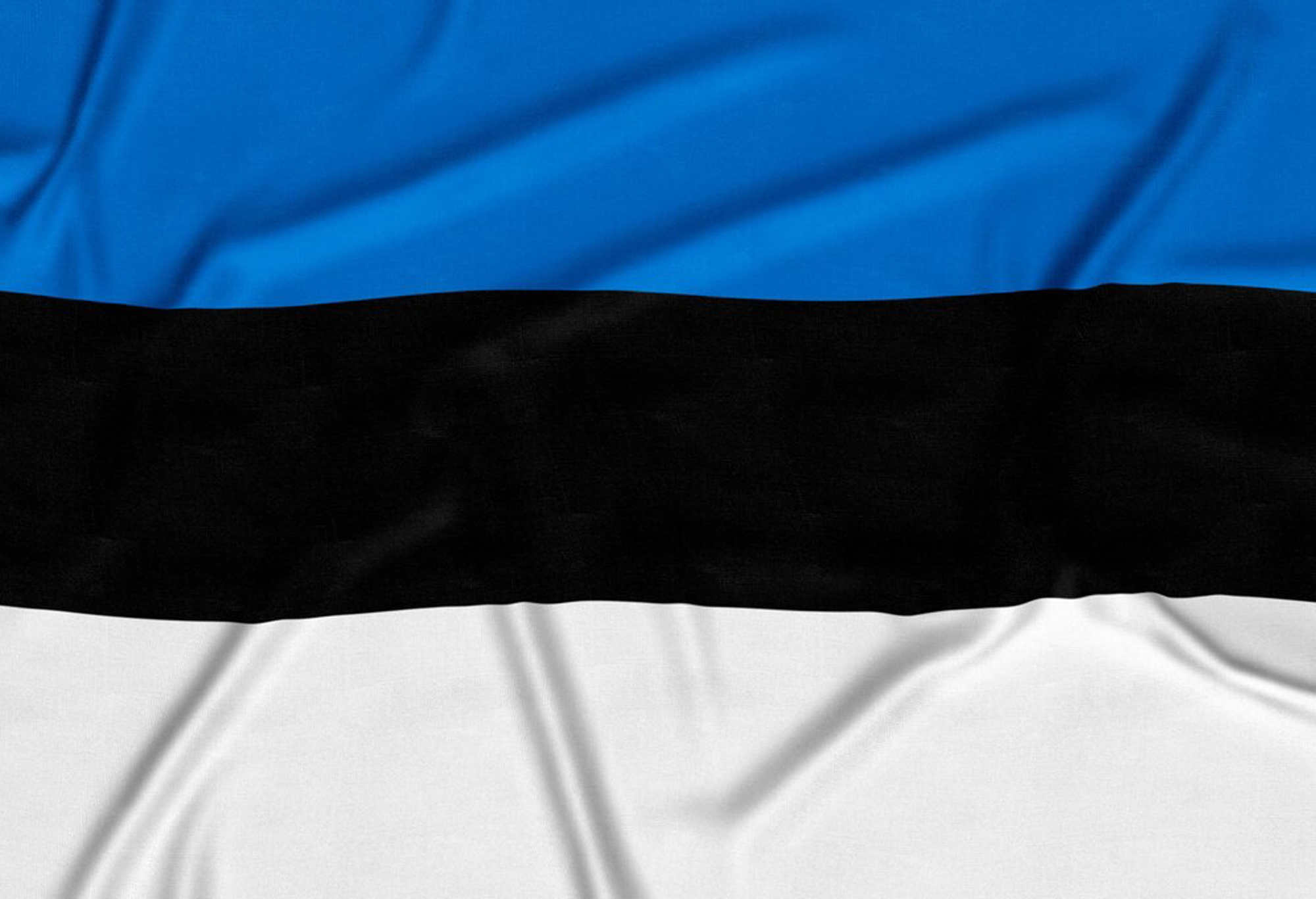 Web Design Services in Estonia