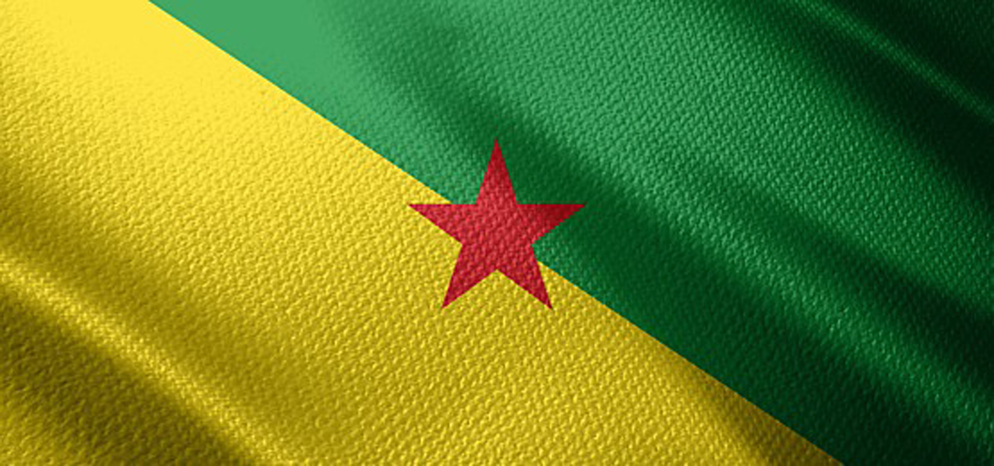 Web Design Services in French Guiana