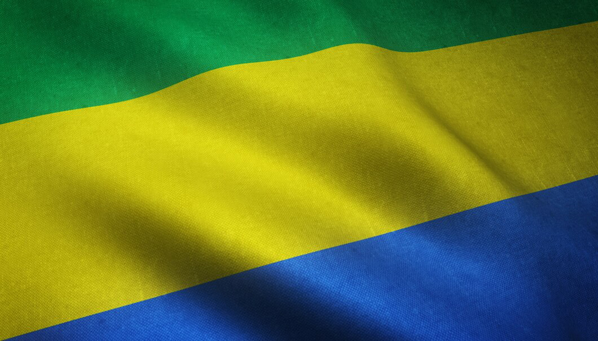 Web Design Services in Gabon