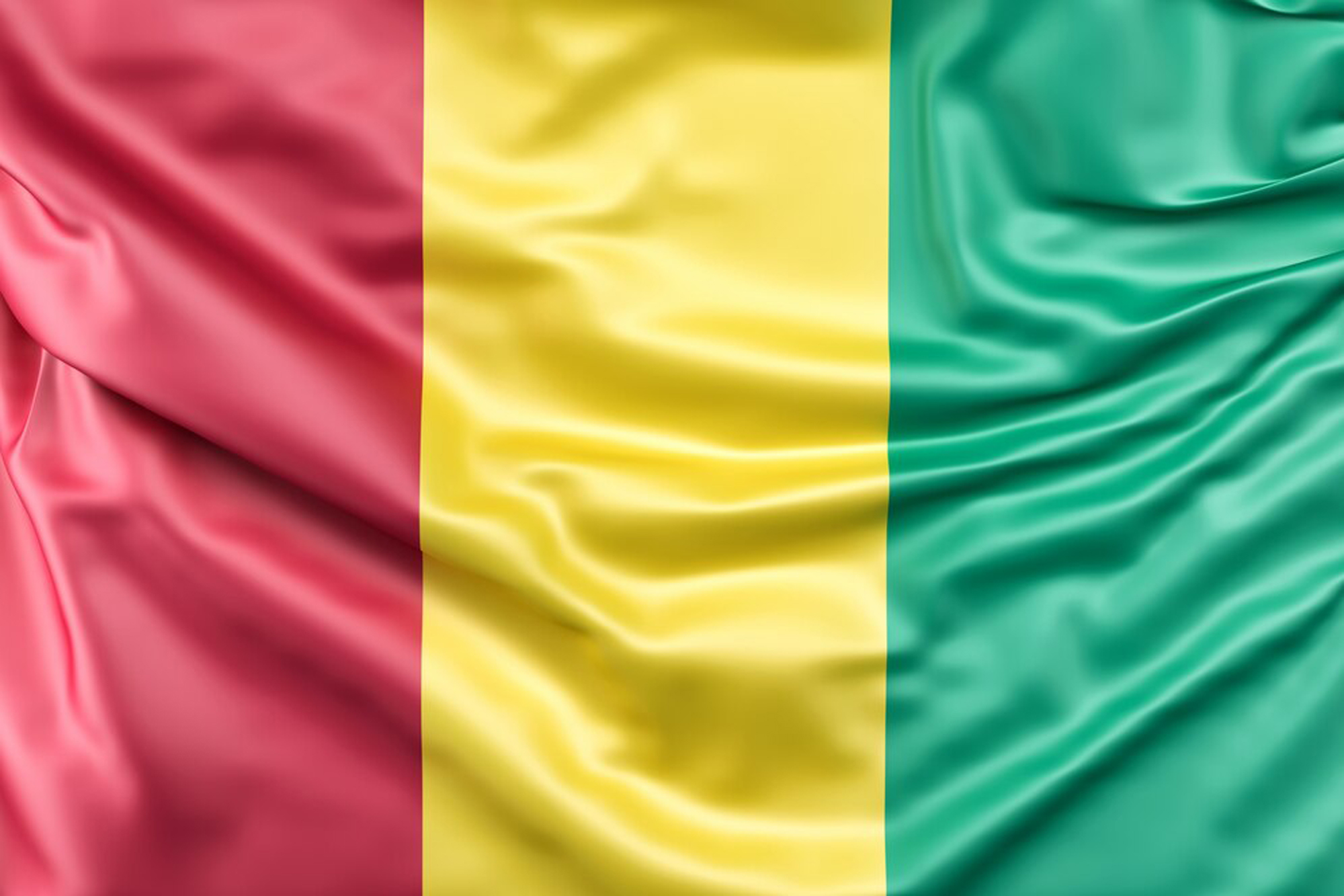 Web Design Services in Guinea