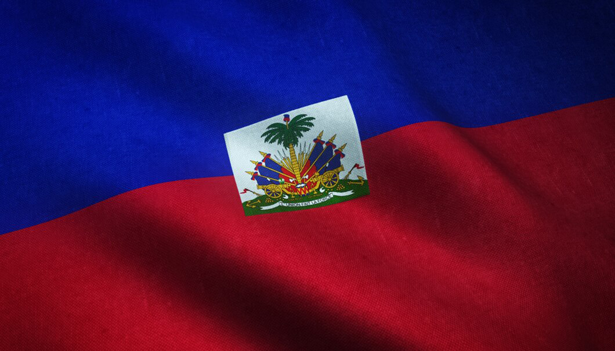 Web Design Services in Haiti