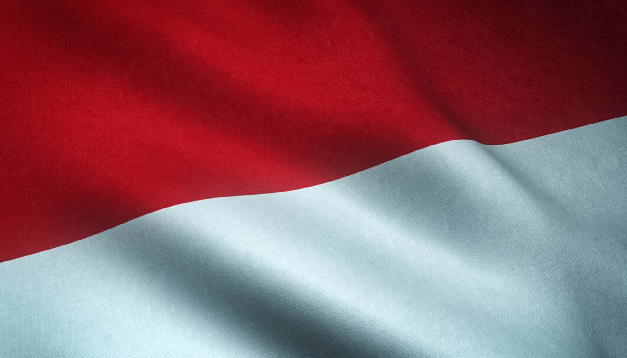 Web Design Services in Indonesia