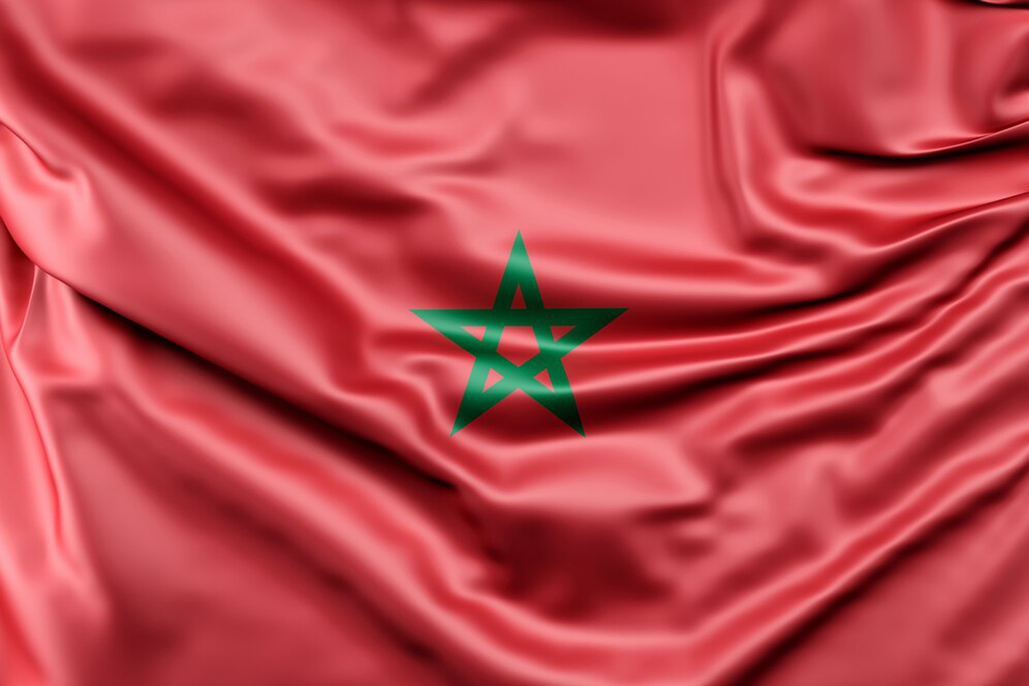 Web Design Services in Morocco