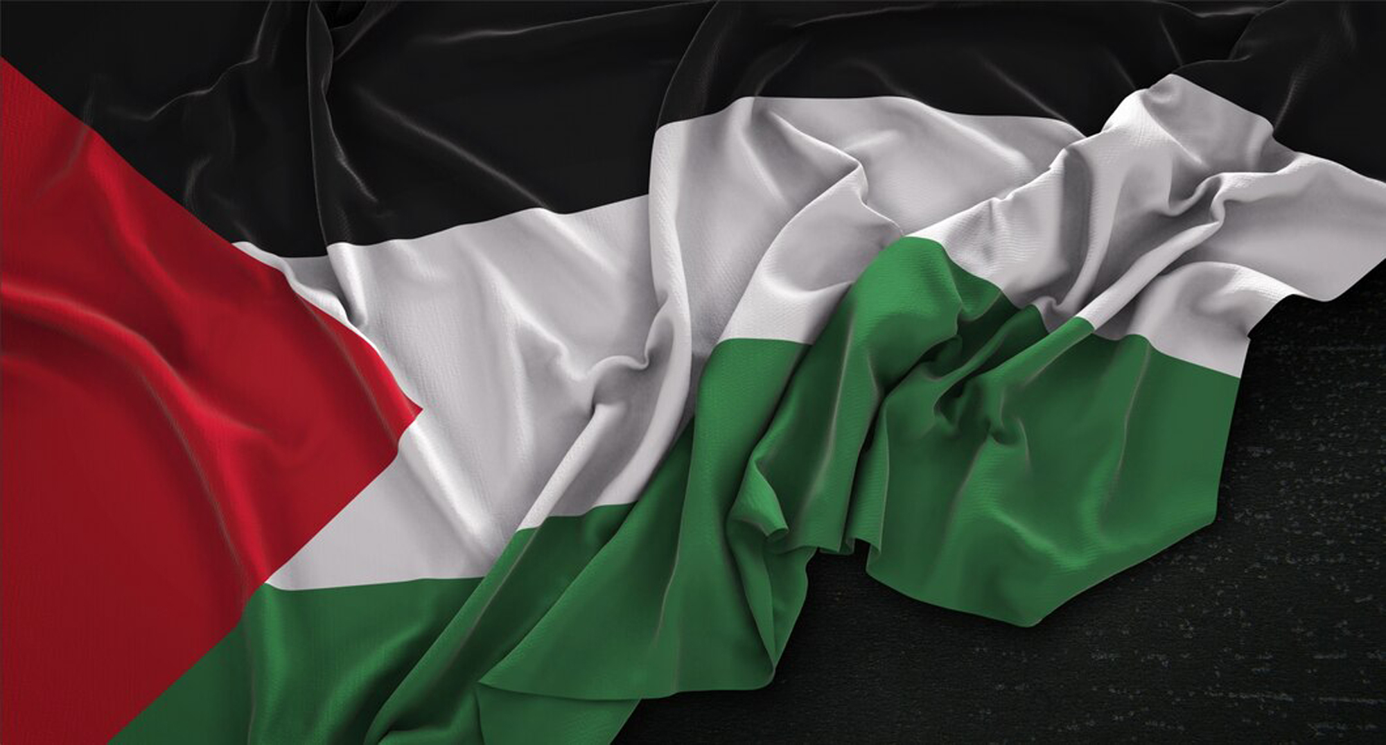 Web Design Services in Palestine