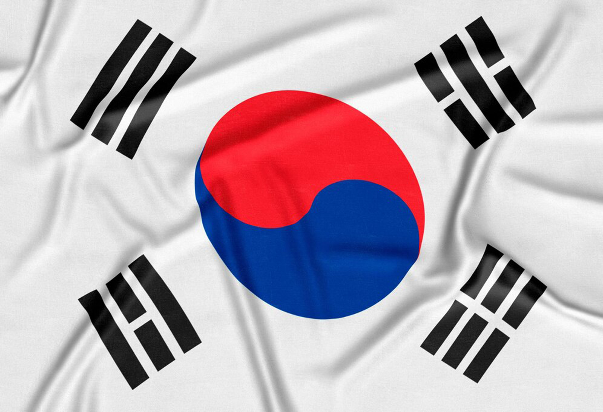 Web Design Services in South Korea